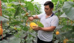 网红塌方吃瓜,揭秘网络红人背后的真相与教训